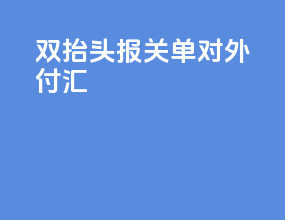 双抬头报关单对外付汇