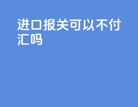 进口报关可以不付汇吗