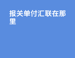 报关单付汇联在那里
