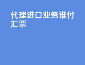代理进口业务谁付汇票