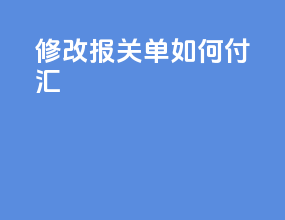 修改报关单如何付汇