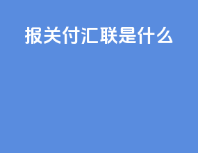报关付汇联是什么