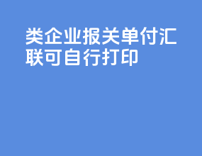 b类企业报关单付汇联可自行打印