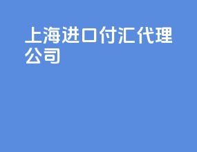 上海进口付汇代理公司