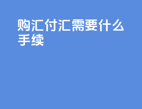 购汇付汇需要什么手续