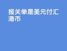 报关单是美元付汇港币