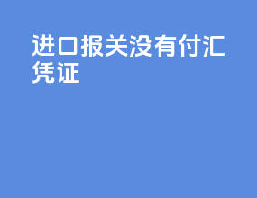 进口报关没有付汇凭证