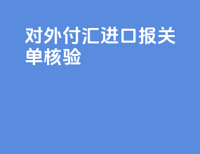 对外付汇进口报关单核验