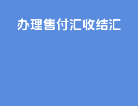 办理售付汇收结汇