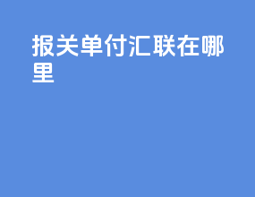 报关单付汇联在哪里