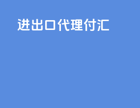 进出口代理付汇