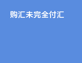 购汇未完全付汇
