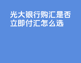 光大银行购汇是否立即付汇怎么选