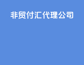 非贸付汇代理公司