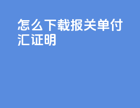 怎么下载报关单付汇证明