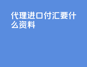 代理进口付汇要什么资料