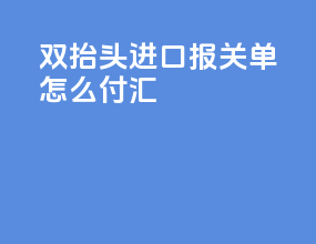双抬头进口报关单怎么付汇
