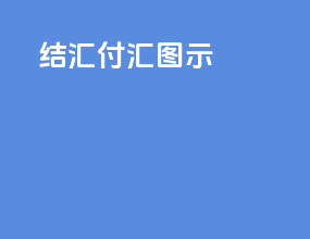 结汇付汇图示