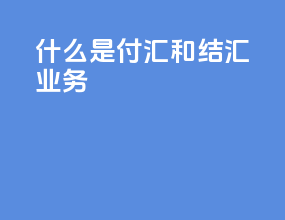 什么是付汇和结汇业务