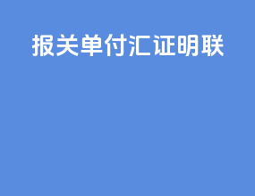 报关单 付汇证明联
