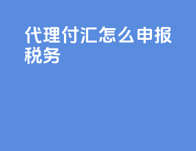 代理付汇怎么申报税务