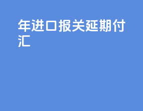 10年进口报关延期付汇