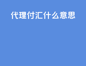 代理付汇什么意思