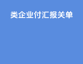 b类企业付汇报关单