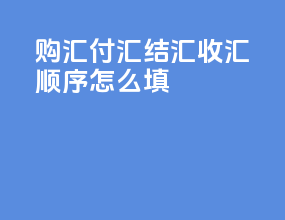 购汇付汇结汇收汇顺序怎么填