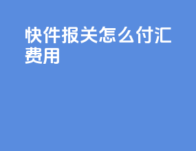 快件报关怎么付汇费用