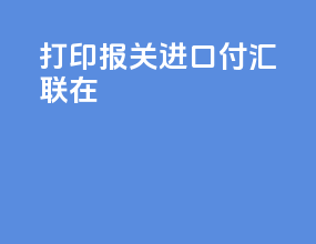 打印报关进口付汇联在