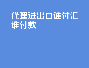 代理进出口谁付汇谁付款