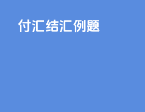 付汇结汇例题