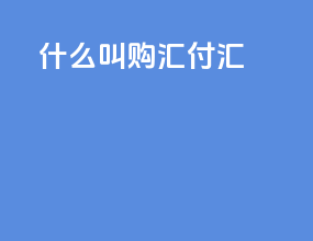 什么叫购汇付汇