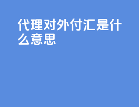 代理对外付汇是什么意思