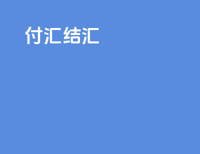 付汇结汇