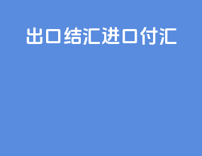 出口结汇进口付汇