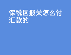 保税区报关怎么付汇款的