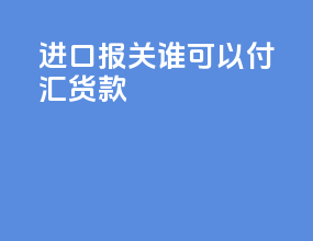 进口报关谁可以付汇货款