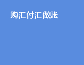 购汇付汇做账