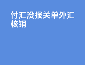 付汇没报关单外汇核销