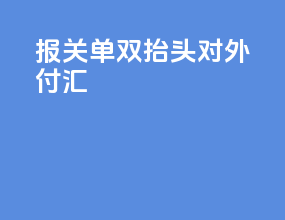 报关单双抬头对外付汇