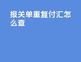 报关单重复付汇怎么查