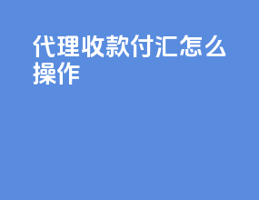 代理收款付汇怎么操作