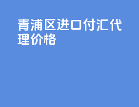 青浦区进口付汇代理价格