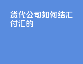 货代公司如何结汇付汇的