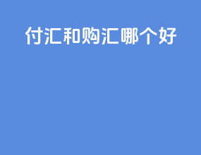 付汇和购汇哪个好