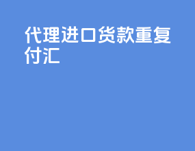 代理进口货款重复付汇