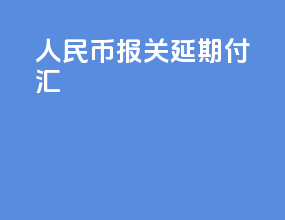 人民币报关延期付汇