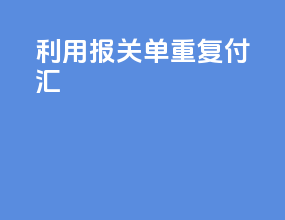 利用报关单重复付汇